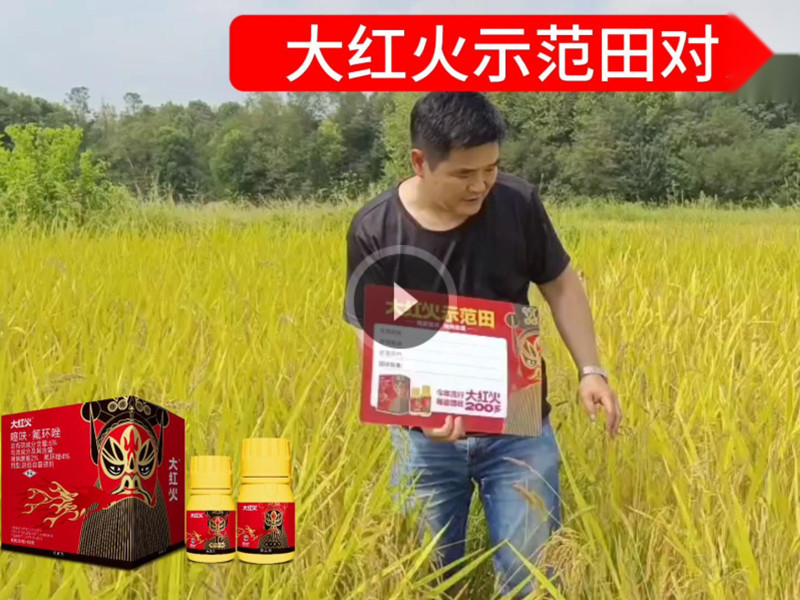 客户见证